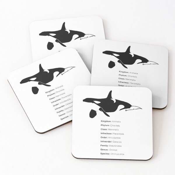 Item preview, Killer whale designed and sold by The Sleepy Monito.