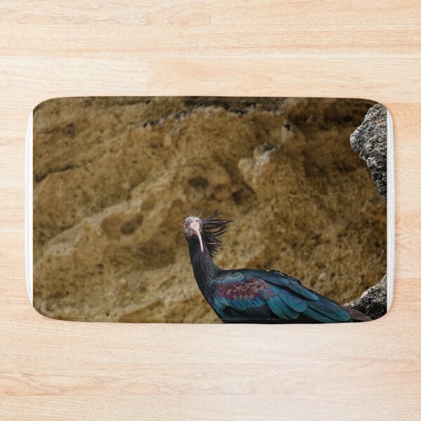 Item preview, A Northern Bald Ibis in Spain (2) designed and sold by TomRomanPhotos.
