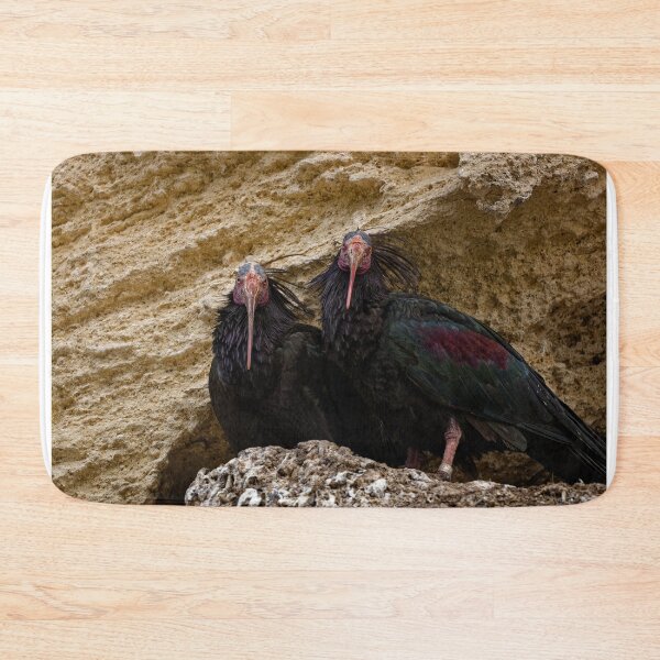 Item preview, Northern Bald Ibis in Spain (1) designed and sold by TomRomanPhotos.