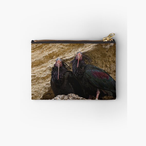 Item preview, Northern Bald Ibis in Spain (1) designed and sold by TomRomanPhotos.