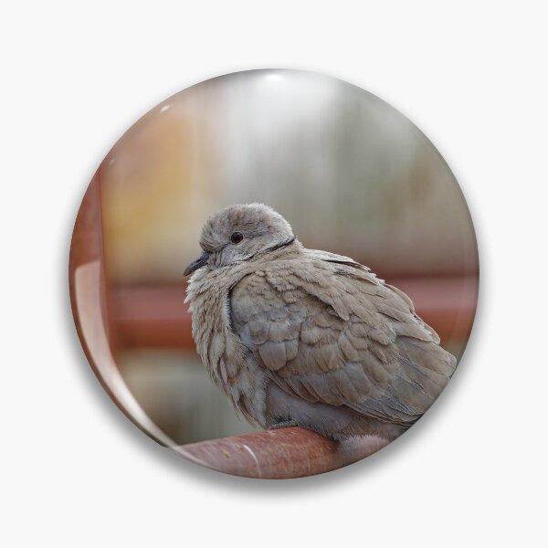Item preview, A Collared Dove in Spain designed and sold by TomRomanPhotos.