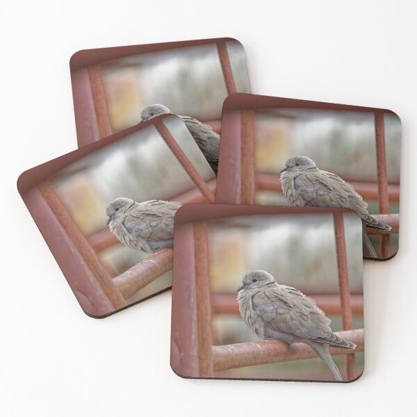 Item preview, A Collared Dove in Spain designed and sold by TomRomanPhotos.
