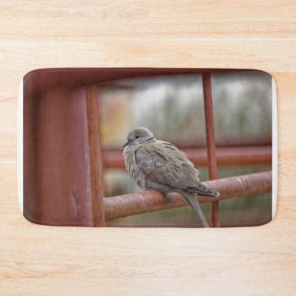 Item preview, A Collared Dove in Spain designed and sold by TomRomanPhotos.