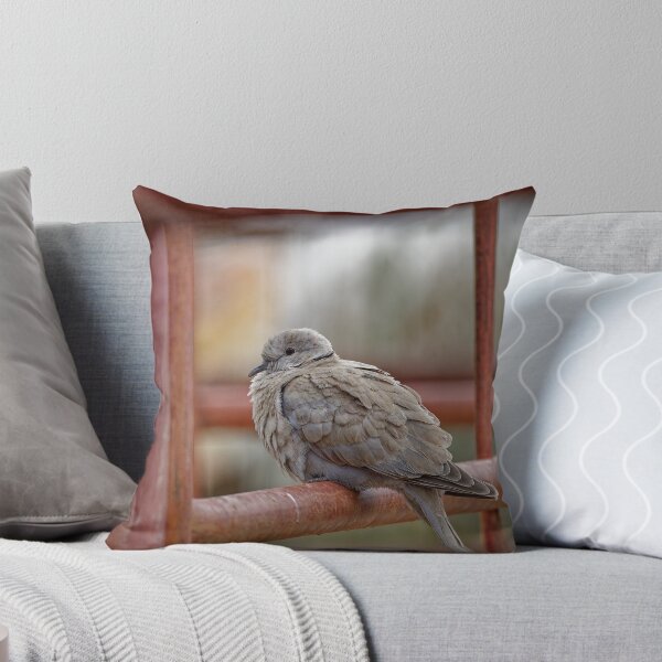 Item preview, A Collared Dove in Spain designed and sold by TomRomanPhotos.