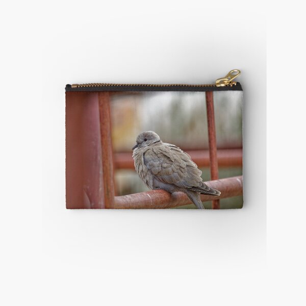 Item preview, A Collared Dove in Spain designed and sold by TomRomanPhotos.