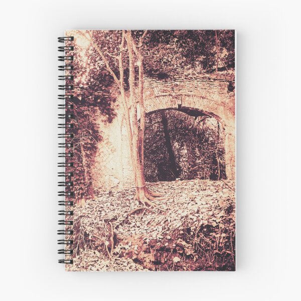 Item preview, Ancient Arch on Via Francigena - Caffarella Park Rome designed and sold by Perotinus.