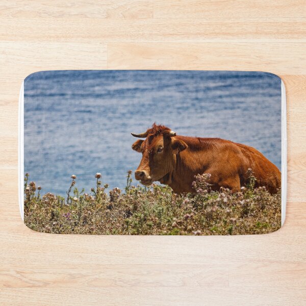 Item preview, A Spanish cow near the sea designed and sold by TomRomanPhotos.