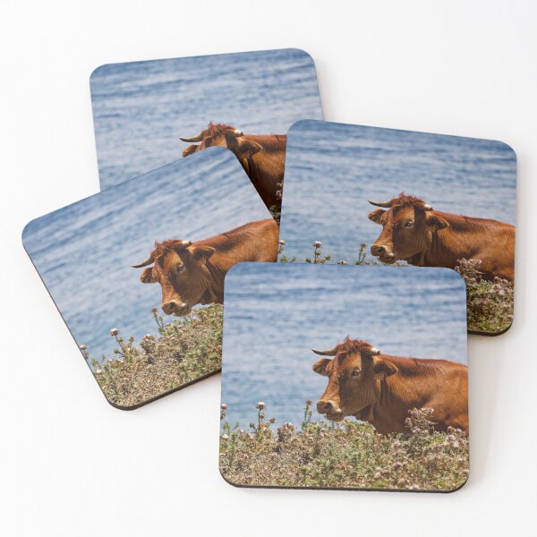 Item preview, A Spanish cow near the sea designed and sold by TomRomanPhotos.
