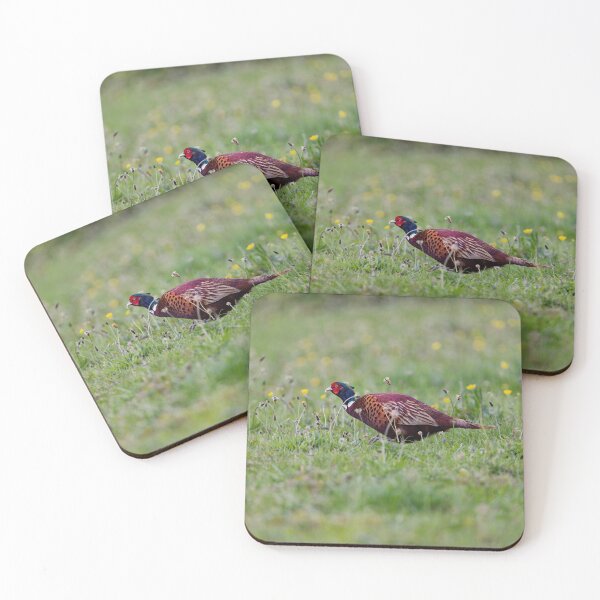 Item preview, A Welsh Pheasant in Gower designed and sold by TomRomanPhotos.