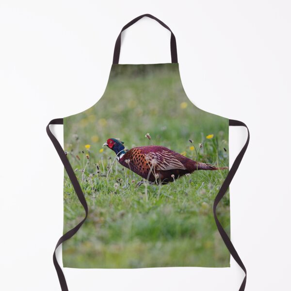 Item preview, A Welsh Pheasant in Gower designed and sold by TomRomanPhotos.