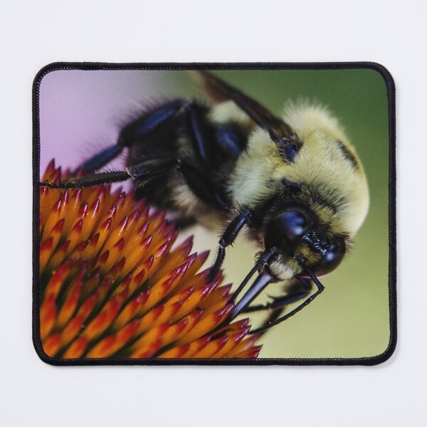 Item preview, Honey bee visit designed and sold by SRosuphotos.