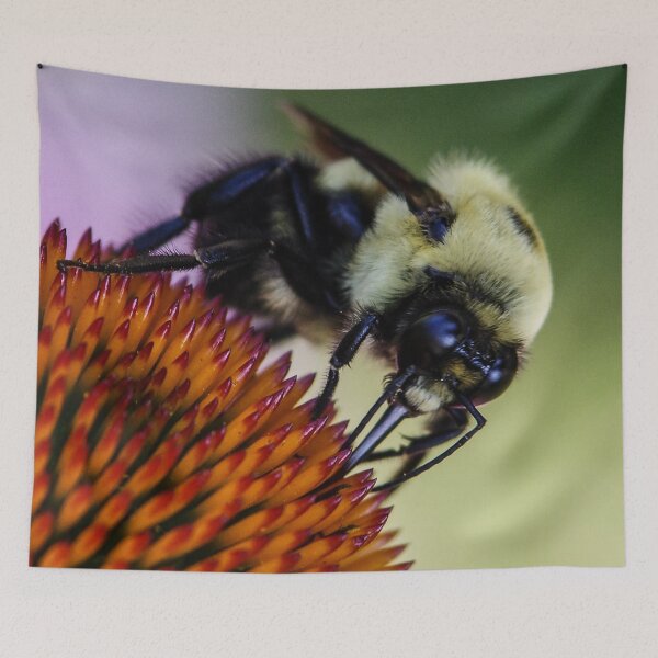 Item preview, Honey bee visit designed and sold by SRosuphotos.
