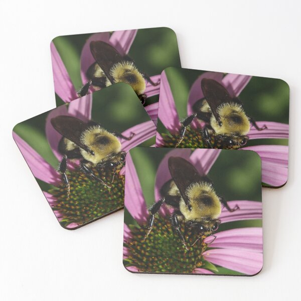 Item preview, Honey Bee Eyes designed and sold by SRosuphotos.