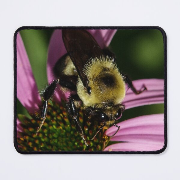 Item preview, Honey Bee Eyes designed and sold by SRosuphotos.