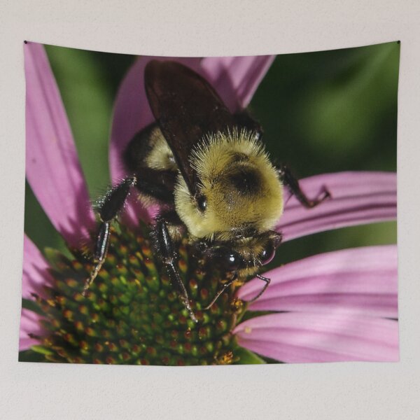 Item preview, Honey Bee Eyes designed and sold by SRosuphotos.
