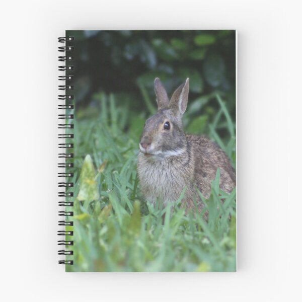 Item preview, Rabbit in a Green Meadow designed and sold by Cynthia48.