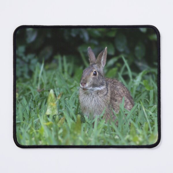 Item preview, Rabbit in a Green Meadow designed and sold by Cynthia48.