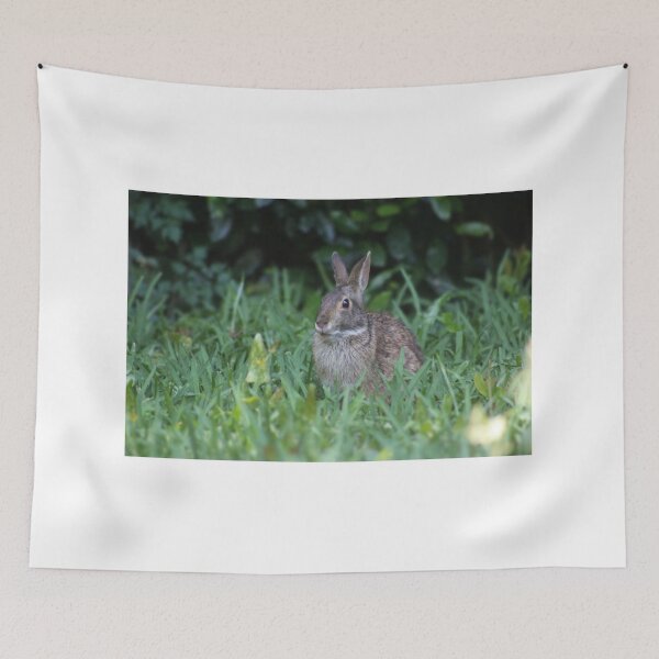 Item preview, Rabbit in a Green Meadow designed and sold by Cynthia48.