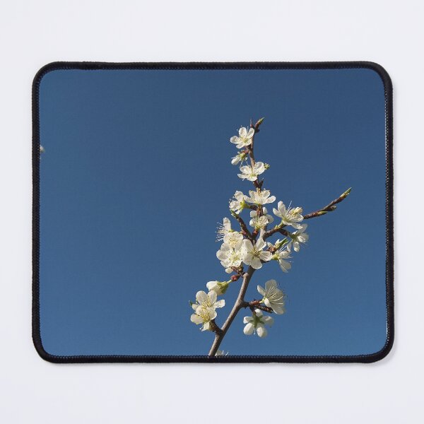 Item preview, White Cherry Blossom Branch Blue Sky Photography designed and sold by Nature Moments.