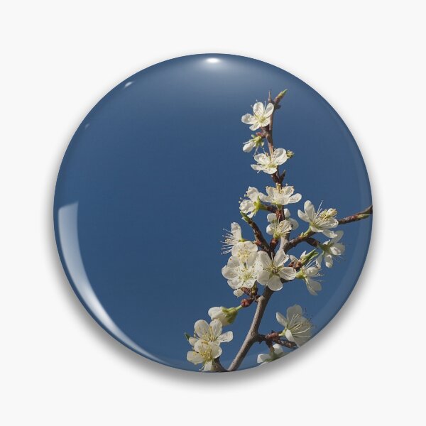 Item preview, White Cherry Blossom Branch Blue Sky Photography designed and sold by Nature Moments.