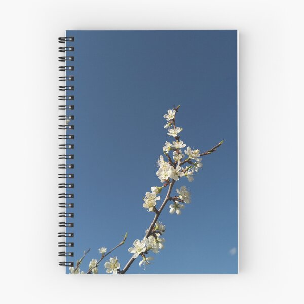 Item preview, White Cherry Blossom Branch Blue Sky Photography designed and sold by Nature Moments.