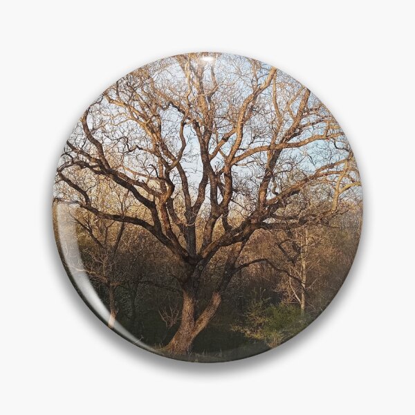 Item preview, Majestic Oak Tree Golden Light Landscape Photography designed and sold by Nature Moments.