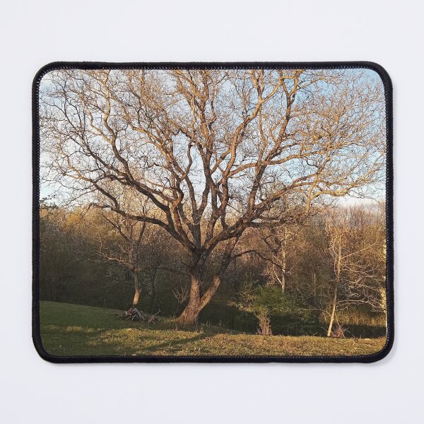 Item preview, Majestic Oak Tree Golden Light Landscape Photography designed and sold by Nature Moments.