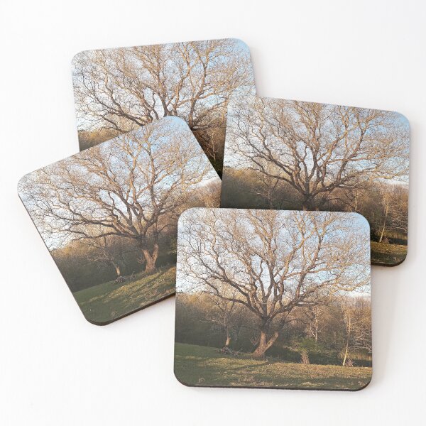 Item preview, Majestic Oak Tree Golden Light Landscape Photography designed and sold by Nature Moments.
