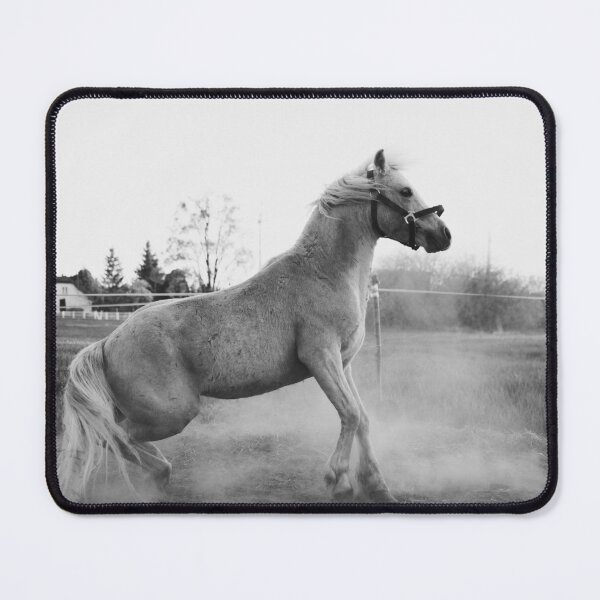 Item preview, spirited horse designed and sold by Ophee Horses & Arty.