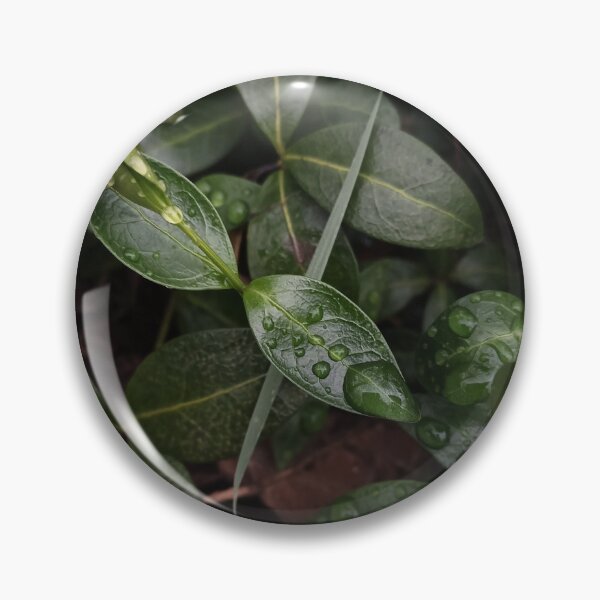 Item preview, Dark Green Leaves Water Drops Macro Nature Photography designed and sold by Nature Moments.