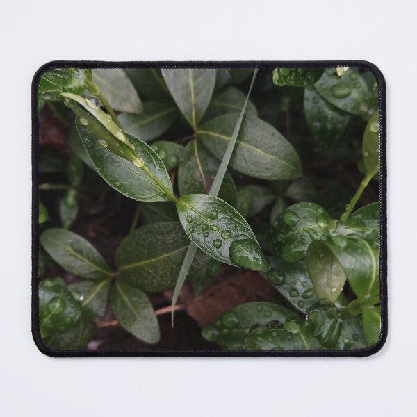 Item preview, Dark Green Leaves Water Drops Macro Nature Photography designed and sold by Nature Moments.