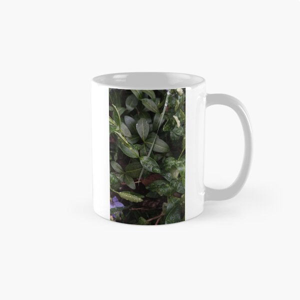Item preview, Dark Green Leaves Water Drops Macro Nature Photography designed and sold by Nature Moments.