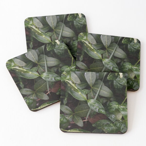 Item preview, Dark Green Leaves Water Drops Macro Nature Photography designed and sold by Nature Moments.