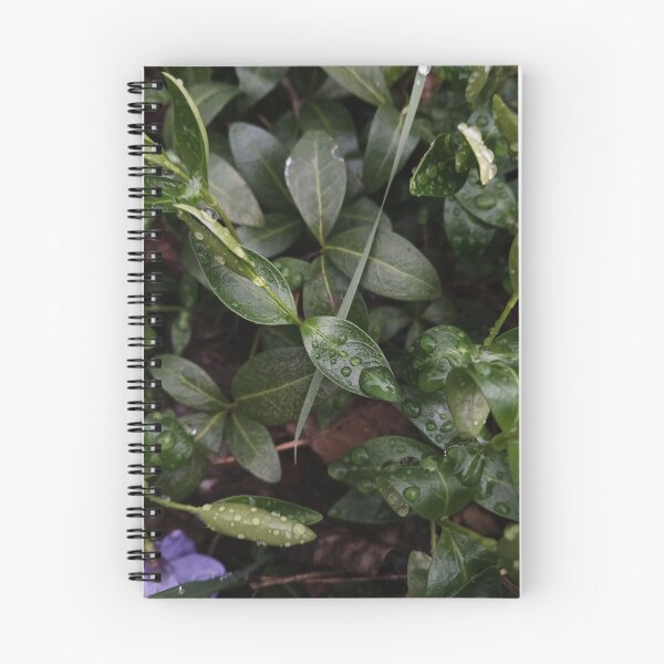 Item preview, Dark Green Leaves Water Drops Macro Nature Photography designed and sold by Nature Moments.