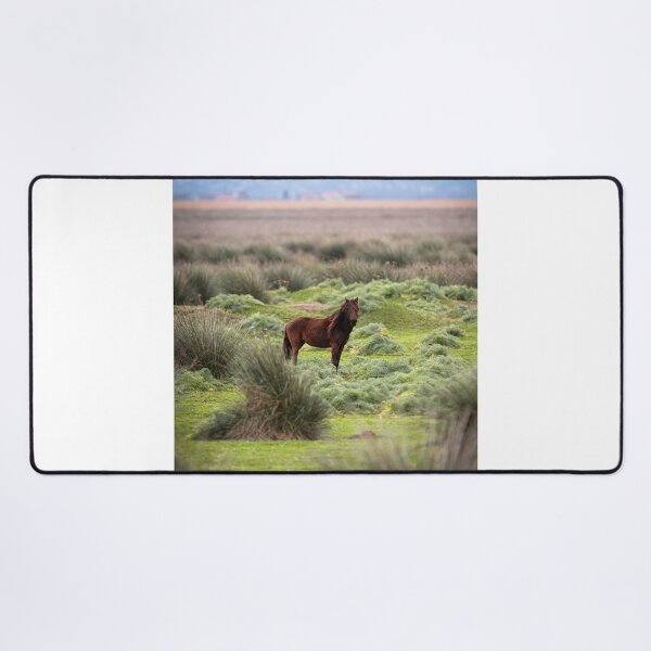 Item preview, Horse in the wild designed and sold by Ophee Horses & Arty.