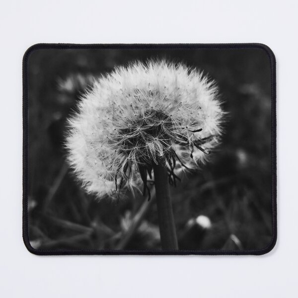 Item preview, dandelion - dandelion designed and sold by Wila-WolfsWacht.