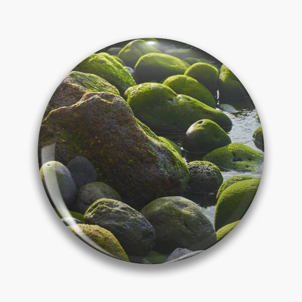 Item preview, Green mossy stones in a tide pool designed and sold by Imagerisium.