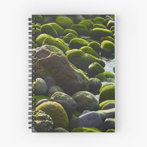 Item preview, Green mossy stones in a tide pool designed and sold by Imagerisium.