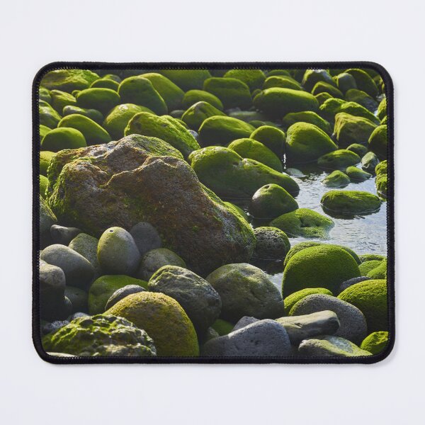 Item preview, Green mossy stones in a tide pool designed and sold by Imagerisium.
