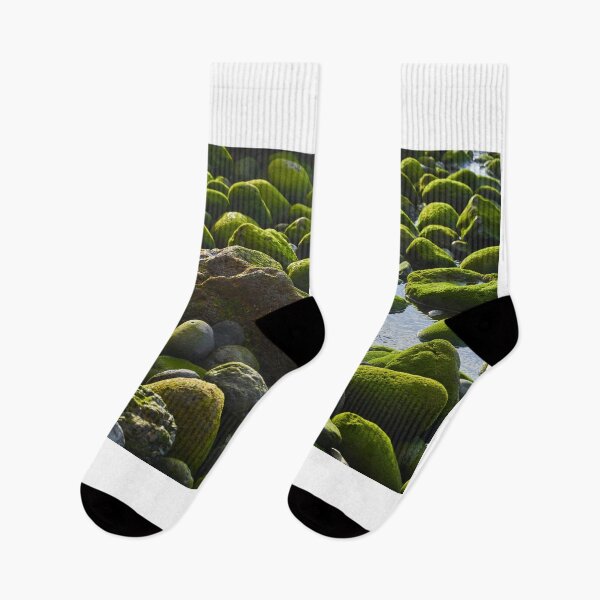 Item preview, Green mossy stones in a tide pool designed and sold by Imagerisium.
