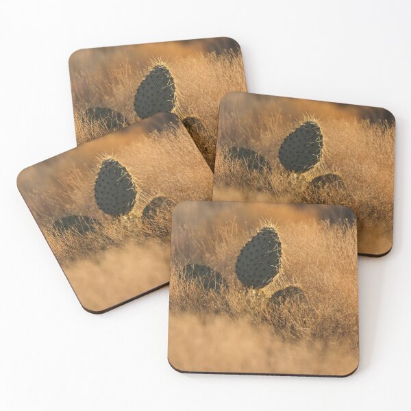 Item preview, Golden Hour Cactus designed and sold by Laurenvschijnd.