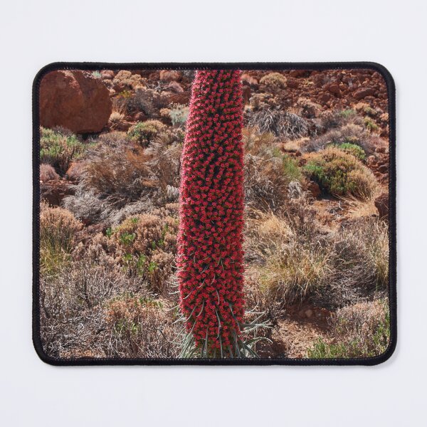 Item preview, Echium wildpretii blooming in Teide area designed and sold by Imagerisium.