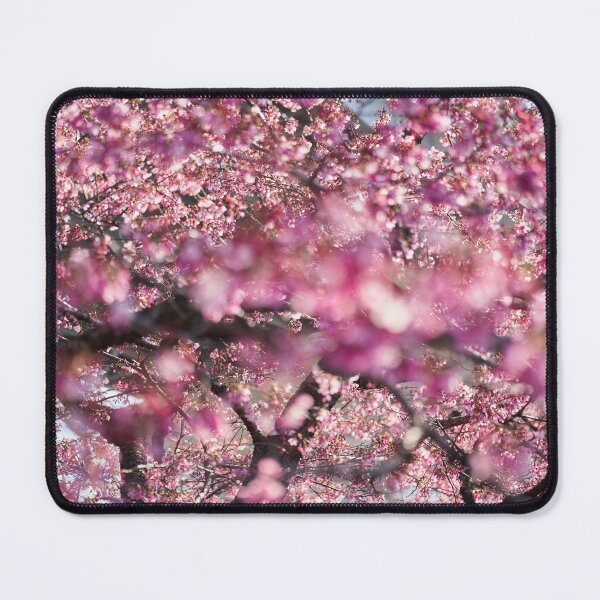 Item preview, Cherry blossoms against blue sky designed and sold by Imagerisium.
