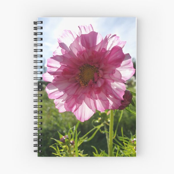 Item preview, Transparent Flower designed and sold by CalmnessbyChoice.