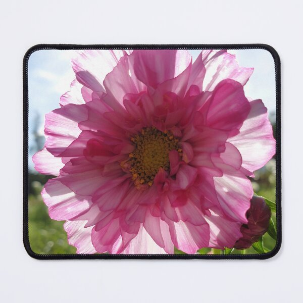 Item preview, Transparent Flower designed and sold by CalmnessbyChoice.