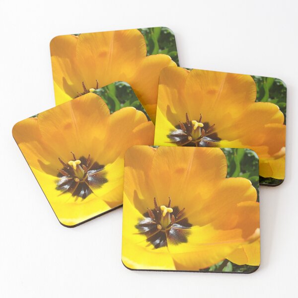 Item preview, Yellow Flower Closeup designed and sold by CalmnessbyChoice.