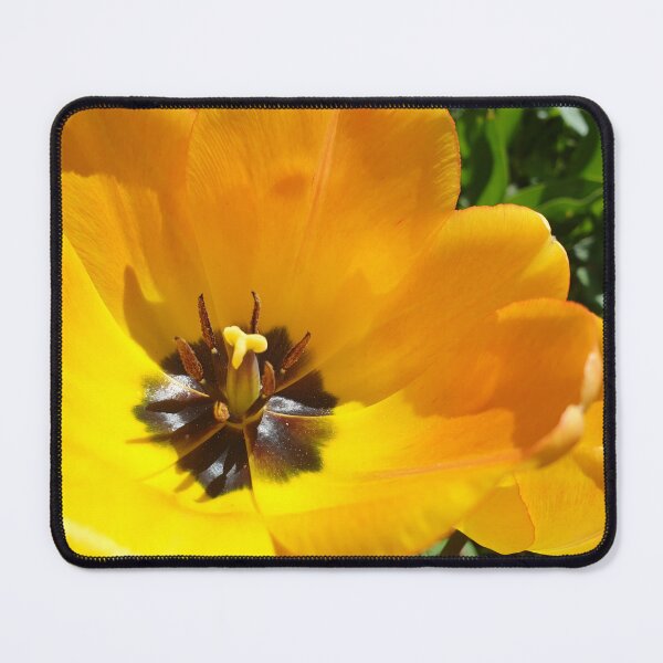 Item preview, Yellow Flower Closeup designed and sold by CalmnessbyChoice.