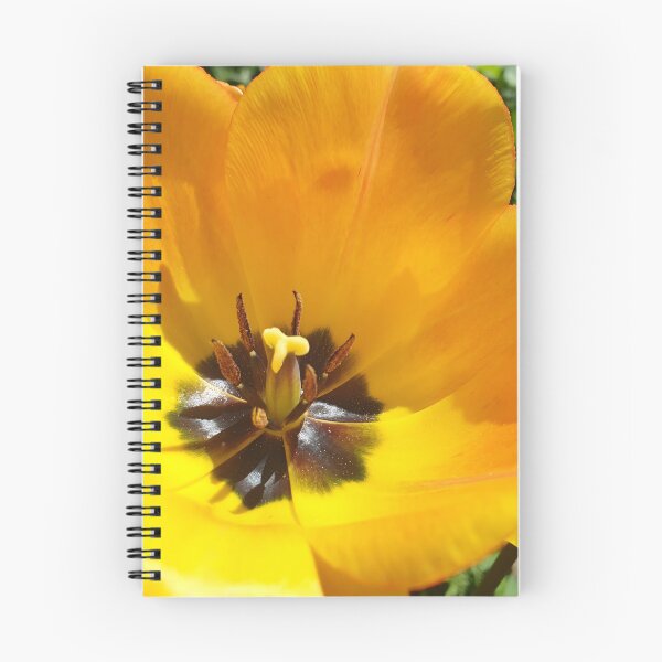 Item preview, Yellow Flower Closeup designed and sold by CalmnessbyChoice.