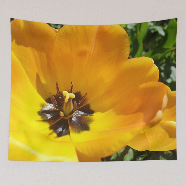 Item preview, Yellow Flower Closeup designed and sold by CalmnessbyChoice.