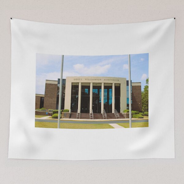 Item preview, Odell Williamson Auditorium Entrance designed and sold by Cynthia48.